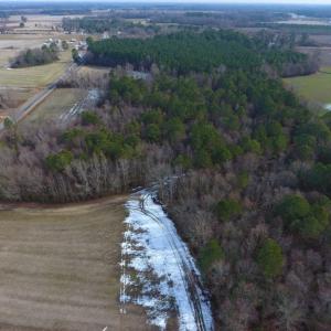 Photo of UNDER CONTRACT!  62.5 Acres of Farm and Timber Land For Sale in Wayne County NC!