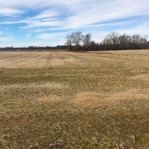 Photo of UNDER CONTRACT!  62.5 Acres of Farm and Timber Land For Sale in Wayne County NC!