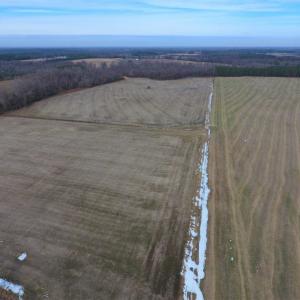Photo of UNDER CONTRACT!  62.5 Acres of Farm and Timber Land For Sale in Wayne County NC!