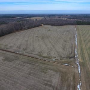 Photo of UNDER CONTRACT!  62.5 Acres of Farm and Timber Land For Sale in Wayne County NC!