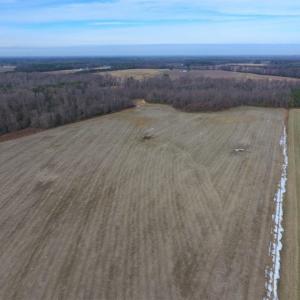 Photo of UNDER CONTRACT!  62.5 Acres of Farm and Timber Land For Sale in Wayne County NC!