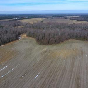 Photo of UNDER CONTRACT!  62.5 Acres of Farm and Timber Land For Sale in Wayne County NC!