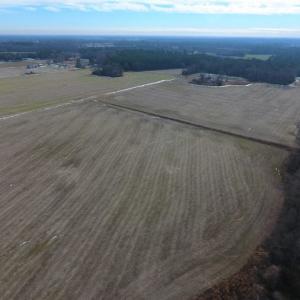 Photo of UNDER CONTRACT!  62.5 Acres of Farm and Timber Land For Sale in Wayne County NC!