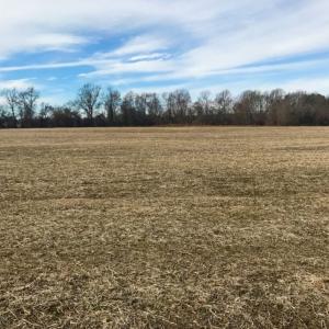 Photo of UNDER CONTRACT!  62.5 Acres of Farm and Timber Land For Sale in Wayne County NC!