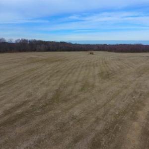 Photo of UNDER CONTRACT!  62.5 Acres of Farm and Timber Land For Sale in Wayne County NC!