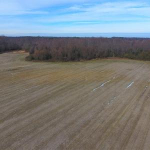 Photo of UNDER CONTRACT!  62.5 Acres of Farm and Timber Land For Sale in Wayne County NC!