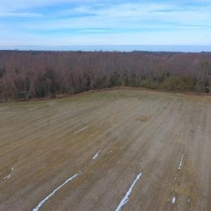 Photo of UNDER CONTRACT!  62.5 Acres of Farm and Timber Land For Sale in Wayne County NC!