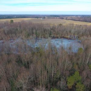 Photo of UNDER CONTRACT!  62.5 Acres of Farm and Timber Land For Sale in Wayne County NC!