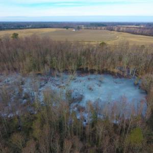 Photo of UNDER CONTRACT!  62.5 Acres of Farm and Timber Land For Sale in Wayne County NC!