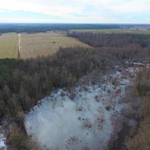 Photo of UNDER CONTRACT!  62.5 Acres of Farm and Timber Land For Sale in Wayne County NC!