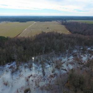 Photo of UNDER CONTRACT!  62.5 Acres of Farm and Timber Land For Sale in Wayne County NC!