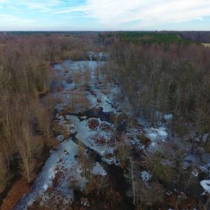 Photo of UNDER CONTRACT!  62.5 Acres of Farm and Timber Land For Sale in Wayne County NC!