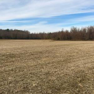 Photo of UNDER CONTRACT!  62.5 Acres of Farm and Timber Land For Sale in Wayne County NC!
