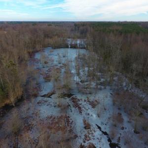 Photo of UNDER CONTRACT!  62.5 Acres of Farm and Timber Land For Sale in Wayne County NC!