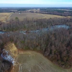 Photo of UNDER CONTRACT!  62.5 Acres of Farm and Timber Land For Sale in Wayne County NC!