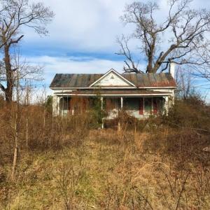 Photo of UNDER CONTRACT!  62.5 Acres of Farm and Timber Land For Sale in Wayne County NC!