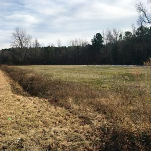 Photo of UNDER CONTRACT!  62.5 Acres of Farm and Timber Land For Sale in Wayne County NC!