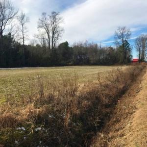 Photo of UNDER CONTRACT!  62.5 Acres of Farm and Timber Land For Sale in Wayne County NC!