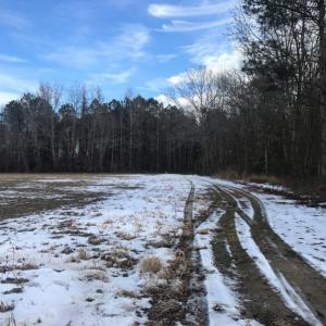 Photo of UNDER CONTRACT!  62.5 Acres of Farm and Timber Land For Sale in Wayne County NC!