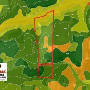 Photo of UNDER CONTRACT!  62.5 Acres of Farm and Timber Land For Sale in Wayne County NC!