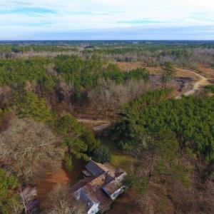 Photo of UNDER CONTRACT!  100 Acres of Hunting and Timber Land For Sale in Nash County NC!