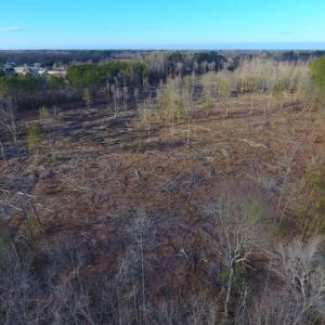 Photo of UNDER CONTRACT!  100 Acres of Hunting and Timber Land For Sale in Nash County NC!