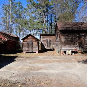 Photo of UNDER CONTRACT!  100 Acres of Hunting and Timber Land For Sale in Nash County NC!