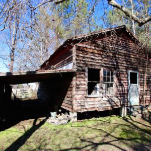 Photo of UNDER CONTRACT!  100 Acres of Hunting and Timber Land For Sale in Nash County NC!