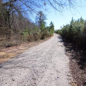 Photo of UNDER CONTRACT!  100 Acres of Hunting and Timber Land For Sale in Nash County NC!