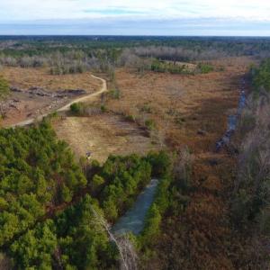 Photo of UNDER CONTRACT!  100 Acres of Hunting and Timber Land For Sale in Nash County NC!