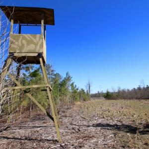 Photo of UNDER CONTRACT!  100 Acres of Hunting and Timber Land For Sale in Nash County NC!