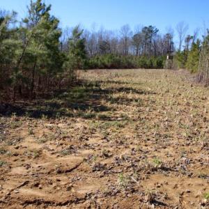 Photo of UNDER CONTRACT!  100 Acres of Hunting and Timber Land For Sale in Nash County NC!