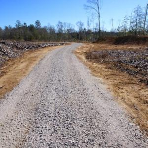 Photo of UNDER CONTRACT!  100 Acres of Hunting and Timber Land For Sale in Nash County NC!