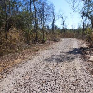 Photo of UNDER CONTRACT!  100 Acres of Hunting and Timber Land For Sale in Nash County NC!