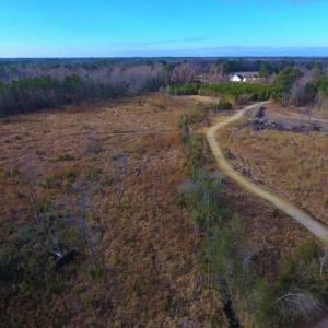 Photo of UNDER CONTRACT!  100 Acres of Hunting and Timber Land For Sale in Nash County NC!