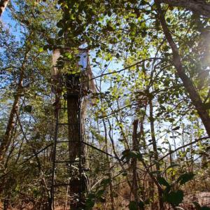 Photo of UNDER CONTRACT!  100 Acres of Hunting and Timber Land For Sale in Nash County NC!