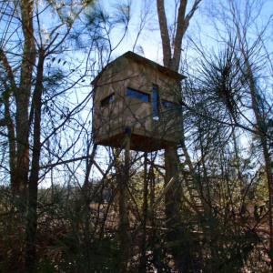Photo of UNDER CONTRACT!  100 Acres of Hunting and Timber Land For Sale in Nash County NC!