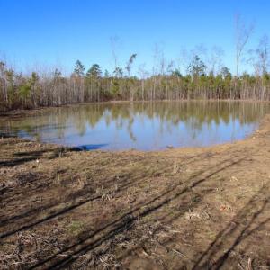 Photo of UNDER CONTRACT!  100 Acres of Hunting and Timber Land For Sale in Nash County NC!
