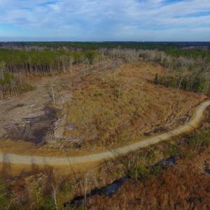 Photo of UNDER CONTRACT!  100 Acres of Hunting and Timber Land For Sale in Nash County NC!