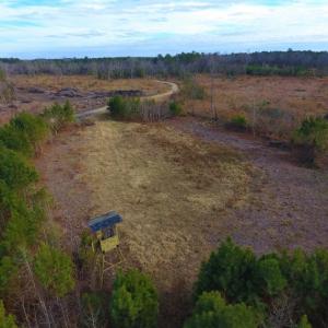 Photo of UNDER CONTRACT!  100 Acres of Hunting and Timber Land For Sale in Nash County NC!