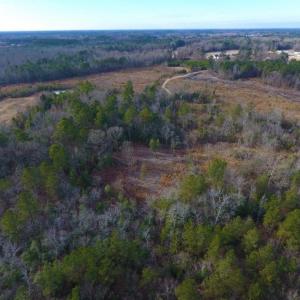 Photo of UNDER CONTRACT!  100 Acres of Hunting and Timber Land For Sale in Nash County NC!