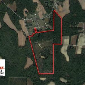 Photo of UNDER CONTRACT!  100 Acres of Hunting and Timber Land For Sale in Nash County NC!