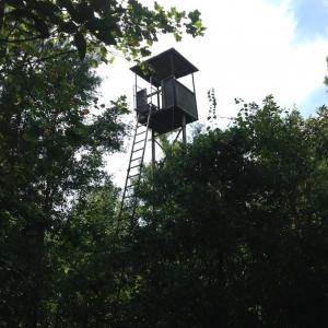 Photo of UNDER CONTRACT!  289 Acres of Hunting and Timber Land For Sale in Tyrrell County NC!