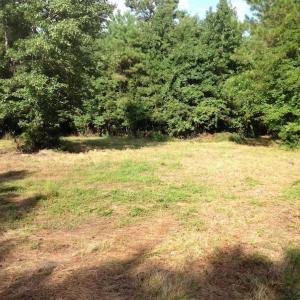 Photo of UNDER CONTRACT!  289 Acres of Hunting and Timber Land For Sale in Tyrrell County NC!