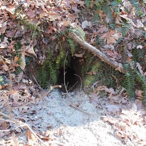 Photo of UNDER CONTRACT!  9.4 Acres of Residential and Hunting Land For Sale in King William County VA!