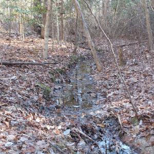 Photo of UNDER CONTRACT!  9.4 Acres of Residential and Hunting Land For Sale in King William County VA!