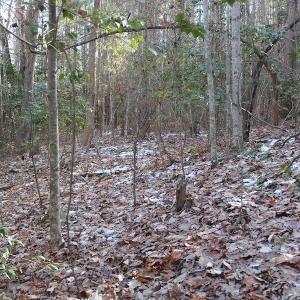 Photo of UNDER CONTRACT!  9.4 Acres of Residential and Hunting Land For Sale in King William County VA!