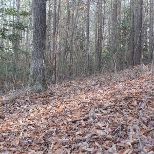 Photo of UNDER CONTRACT!  9.4 Acres of Residential and Hunting Land For Sale in King William County VA!