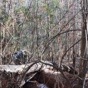 Photo of UNDER CONTRACT!  9.4 Acres of Residential and Hunting Land For Sale in King William County VA!
