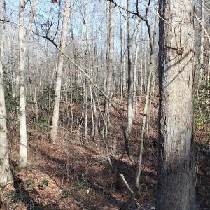 Photo of UNDER CONTRACT!  9.4 Acres of Residential and Hunting Land For Sale in King William County VA!